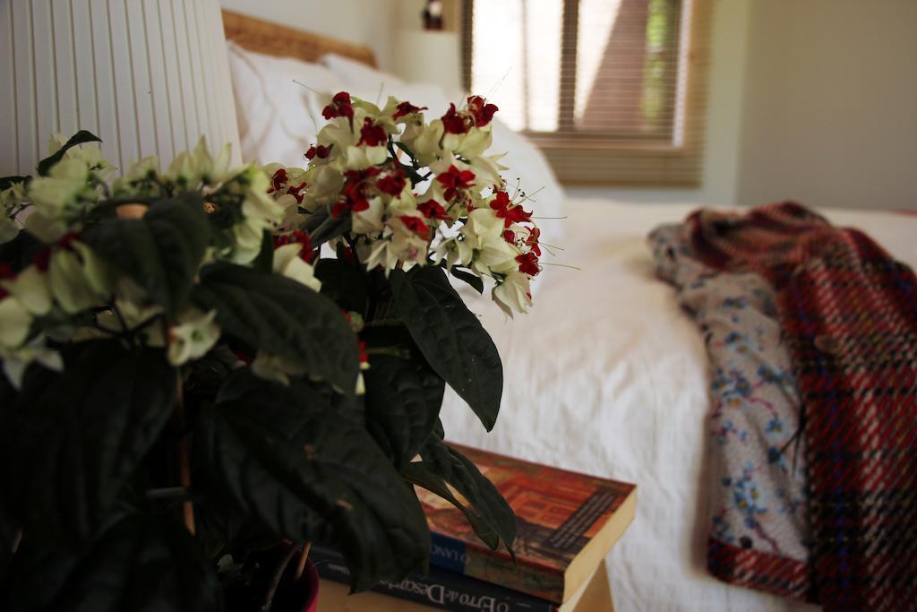 ヴィラ・ノヴァ・デ・ミルフォンテス A Casa Da Arvore Bed & Breakfast 部屋 写真